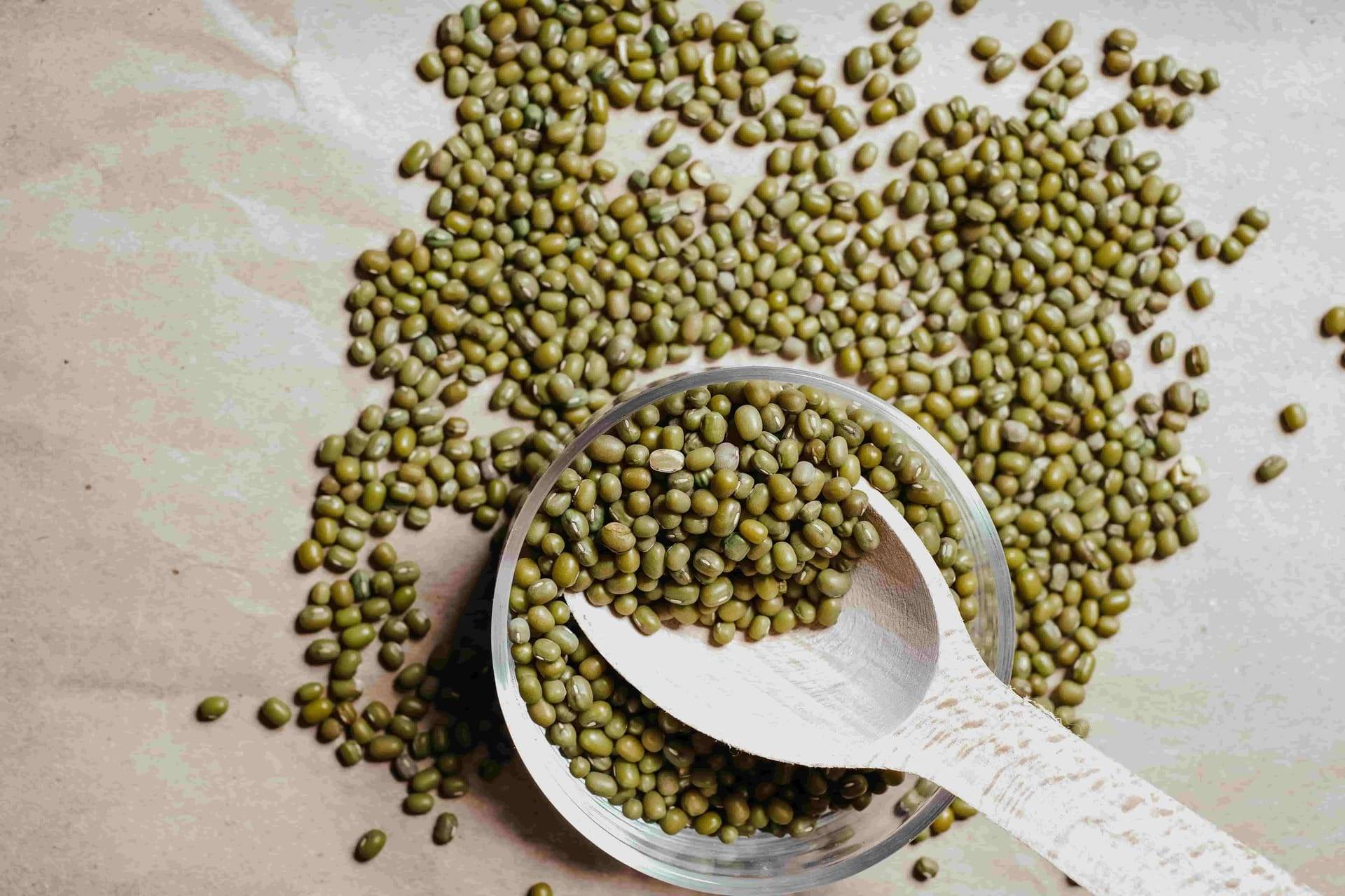 mung-bean-綠豆